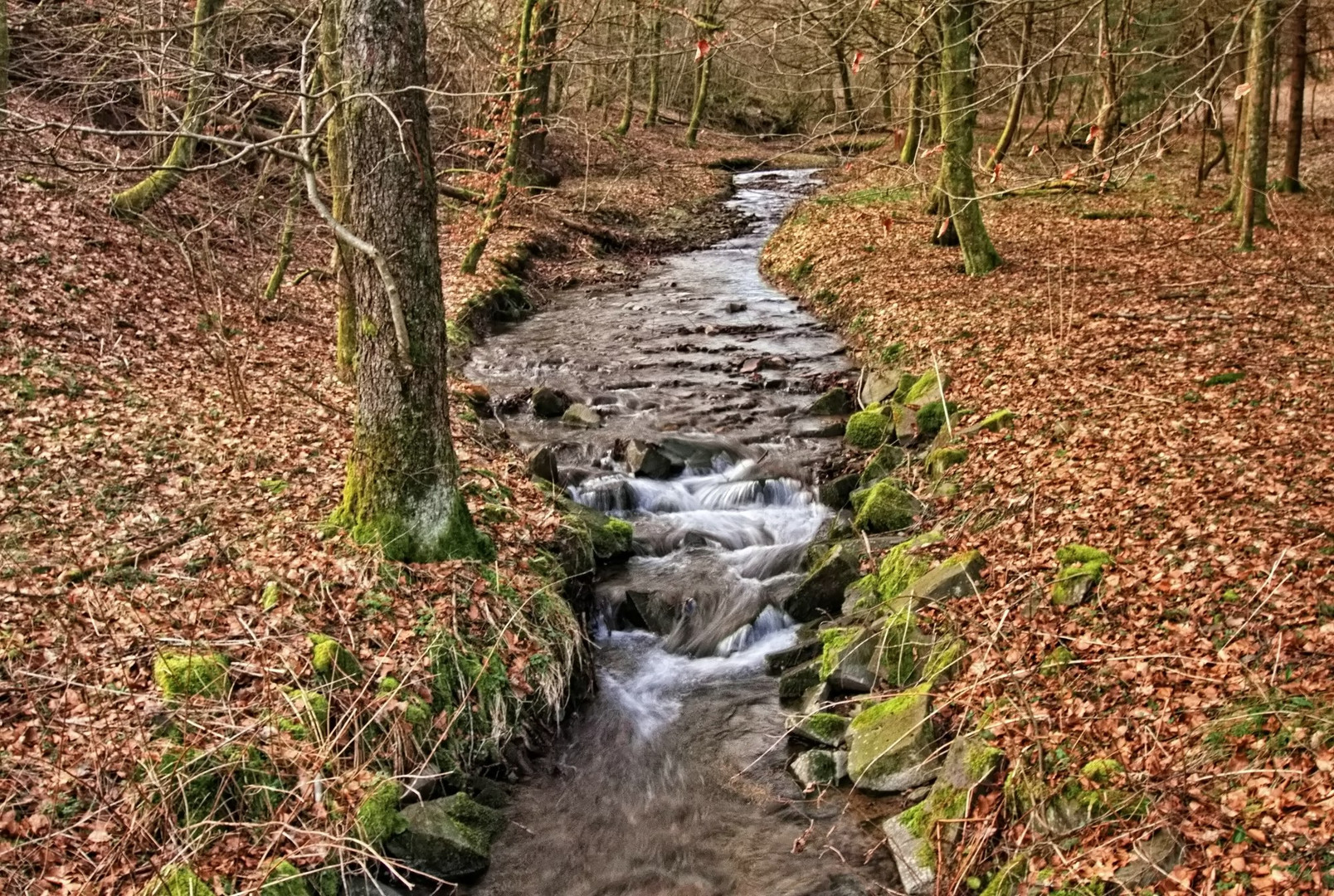 Der Bach Foto & Bild deutschland, europe, nordrhein westfalen Bilder