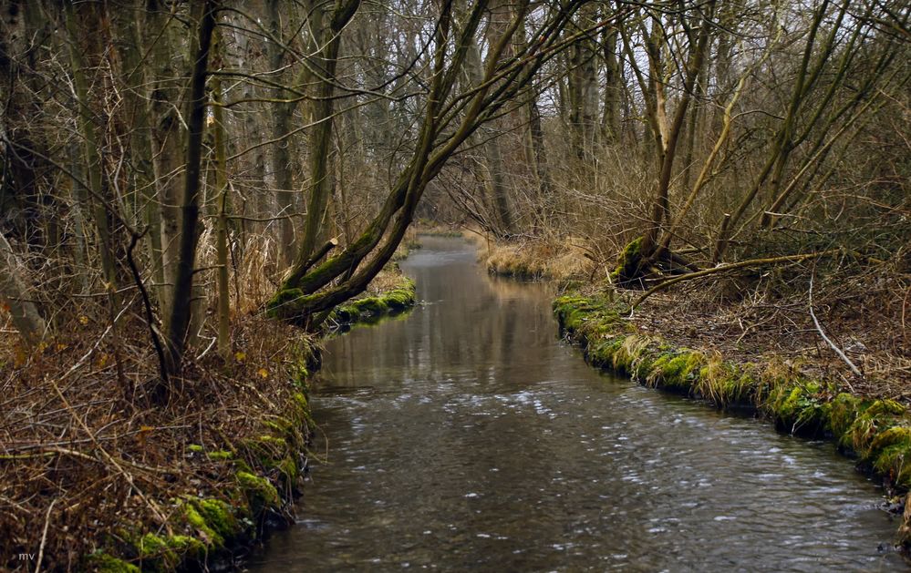 der Bach Foto & Bild Bilder auf