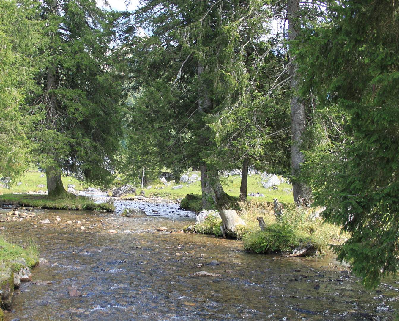 Der Bach Foto & Bild landschaft, natur Bilder auf