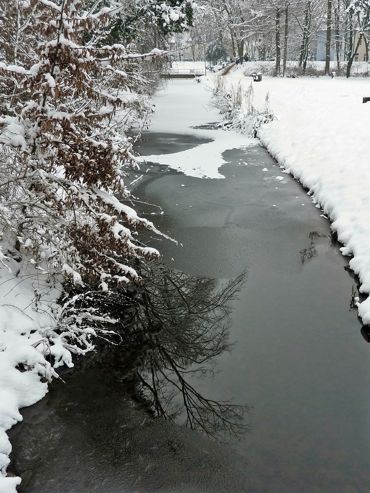 der Bach, der Baum, die Brücke