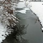 der Bach, der Baum, die Brücke