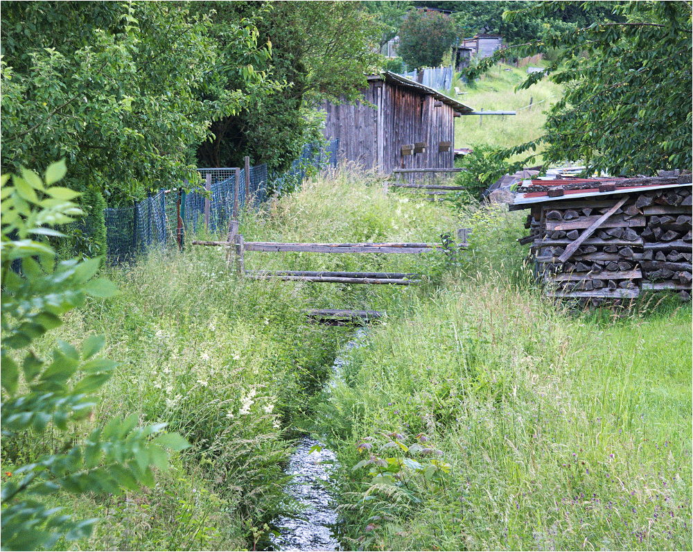 Der Bach hinter den Gärten