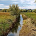 Der Bach im Naturschutzgebiet