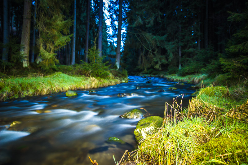 Der Bach im Wald