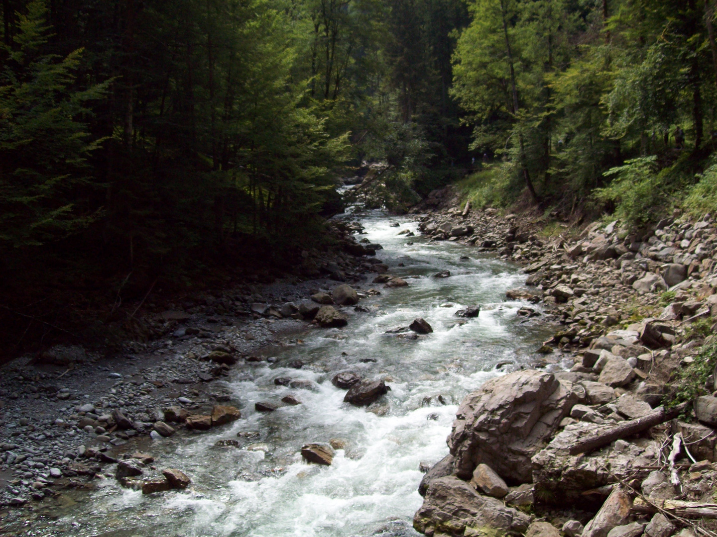 Der Bach in Bayern