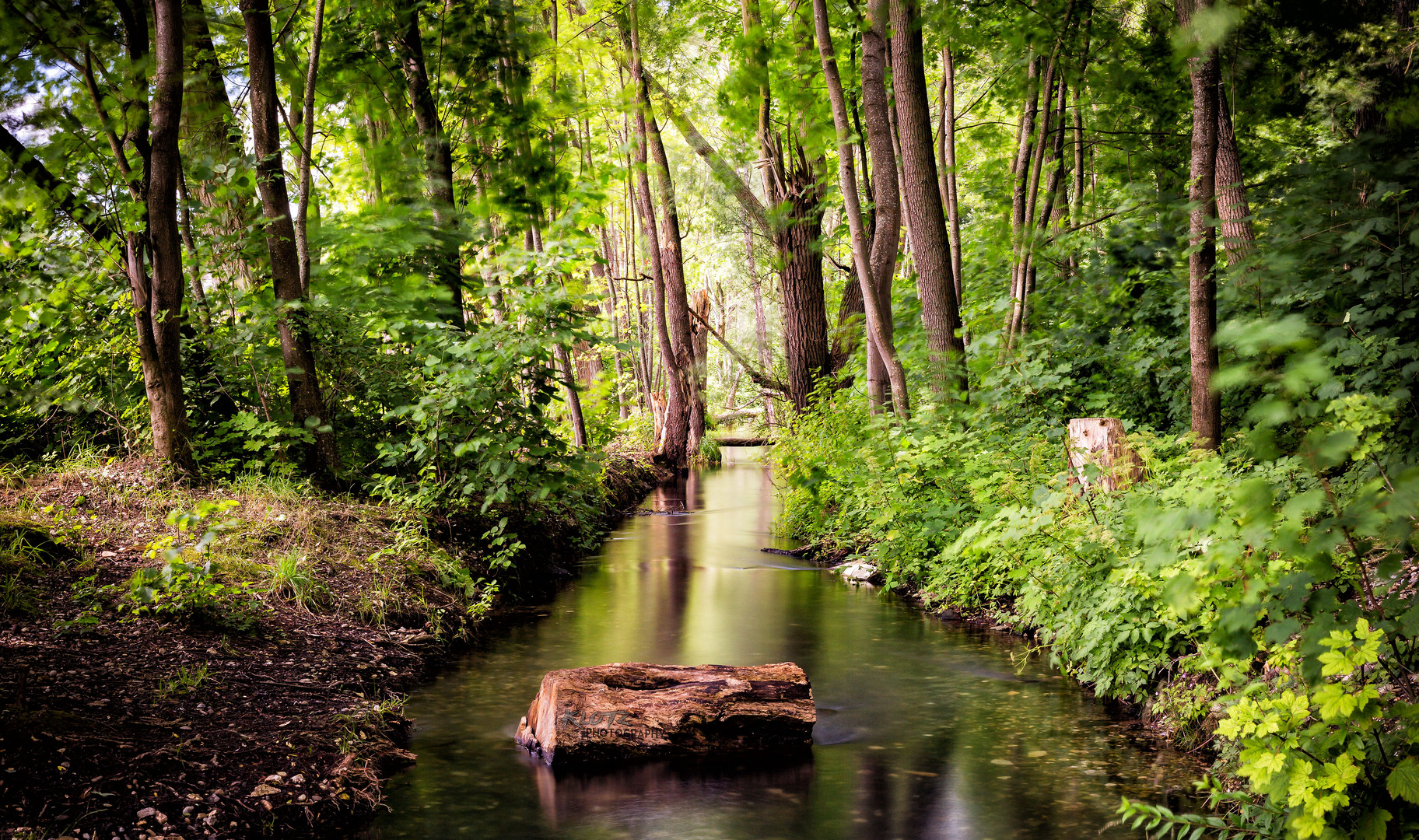 Der Bach ins Paradies