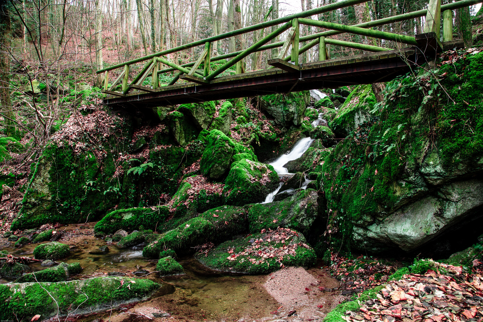 Der Bach und die Brücke