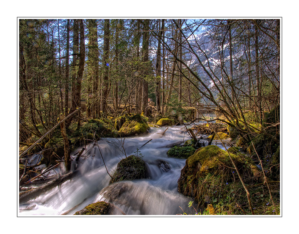 Der Bach vom Zauberwald