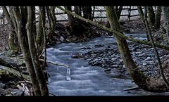 Der Bach zu Fluss