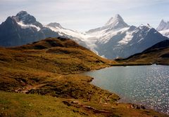 Der Bachalpsee