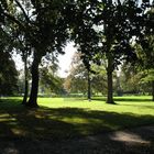 Der Bachgarten in Licht und Schatten