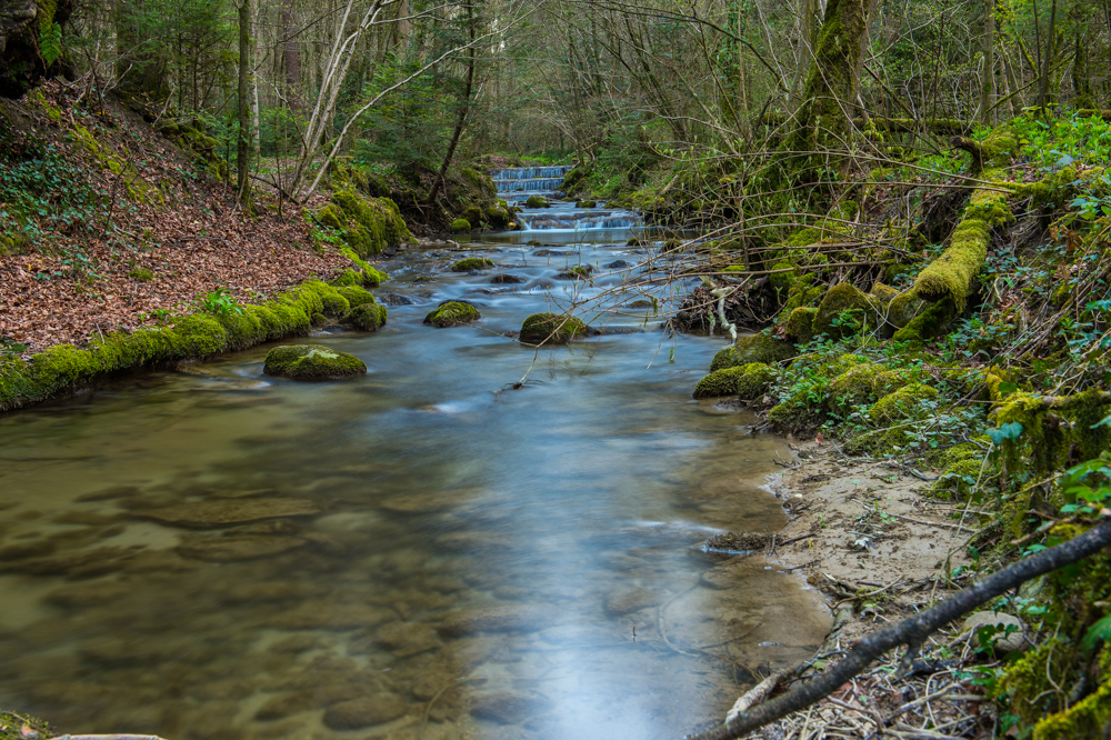 Der Bachlauf