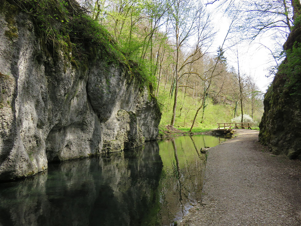 der Bachlauf