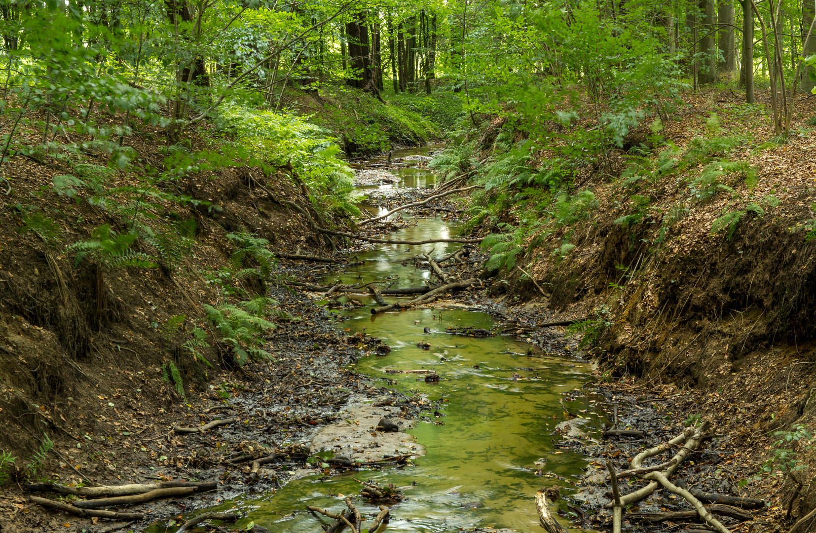 Der Bachlauf