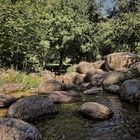 Der Bachlauf....., Impressionen aus dem Britzer Garten