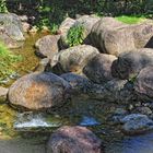 Der Bachlauf...., Impressionen aus dem Britzer Garten