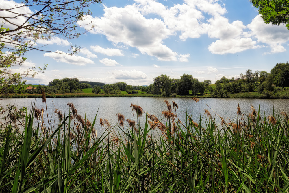 ... der Bachtelweiher ...