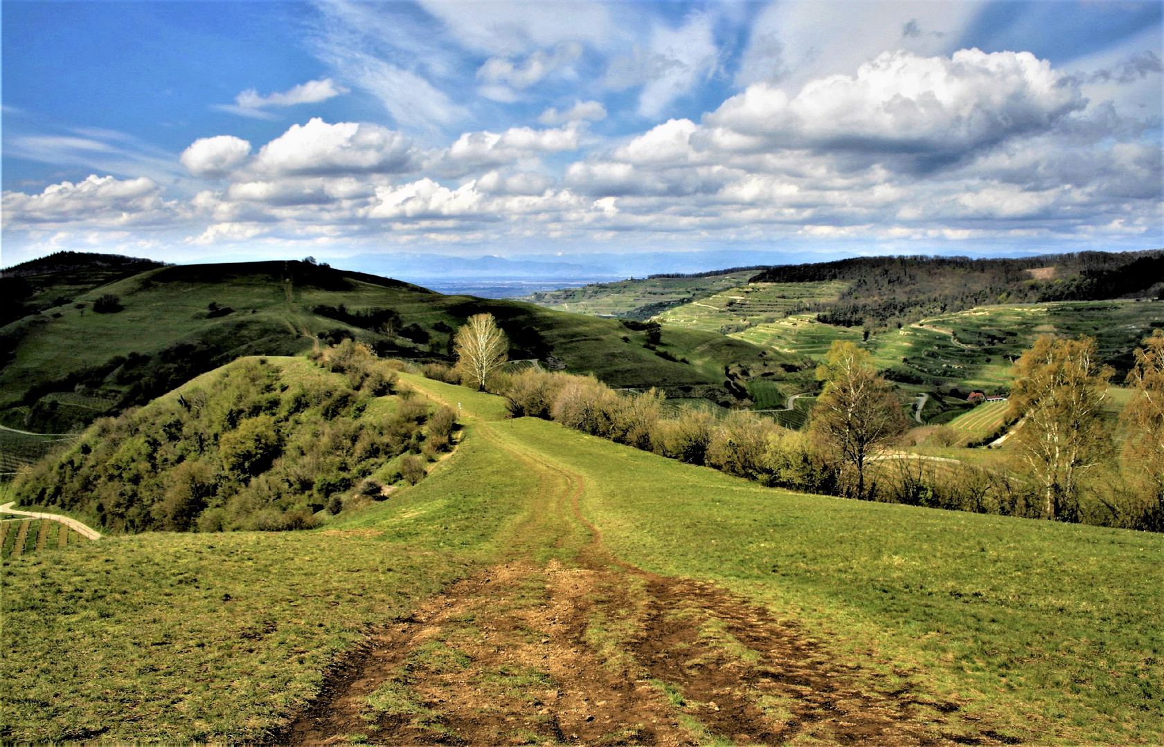 der Badberg