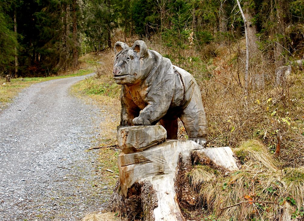 Der Bär ist los ....