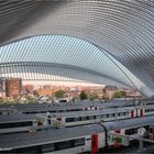 Der Bahnhof Liège-Guillemins ...