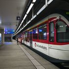 Der Bahnhof Luzern Allmend-Messe