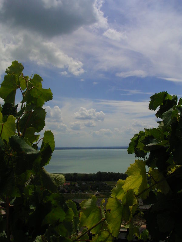 der balaton