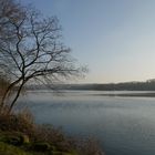 Der Baldeneysee