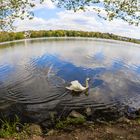 Der Baldeneysee in Essen - mit Fisheye