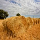 Der baldige Herbst im Périgord lässt sich nicht verleugnen