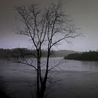 Der Balkon am Silbersee