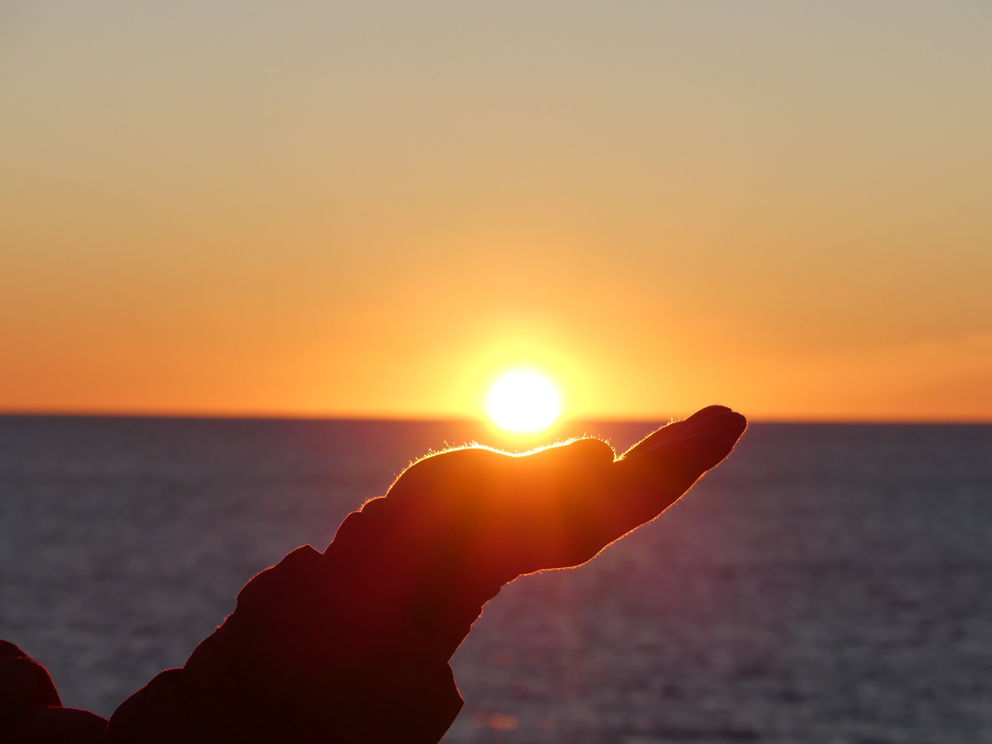 Der Ball auf der Hand