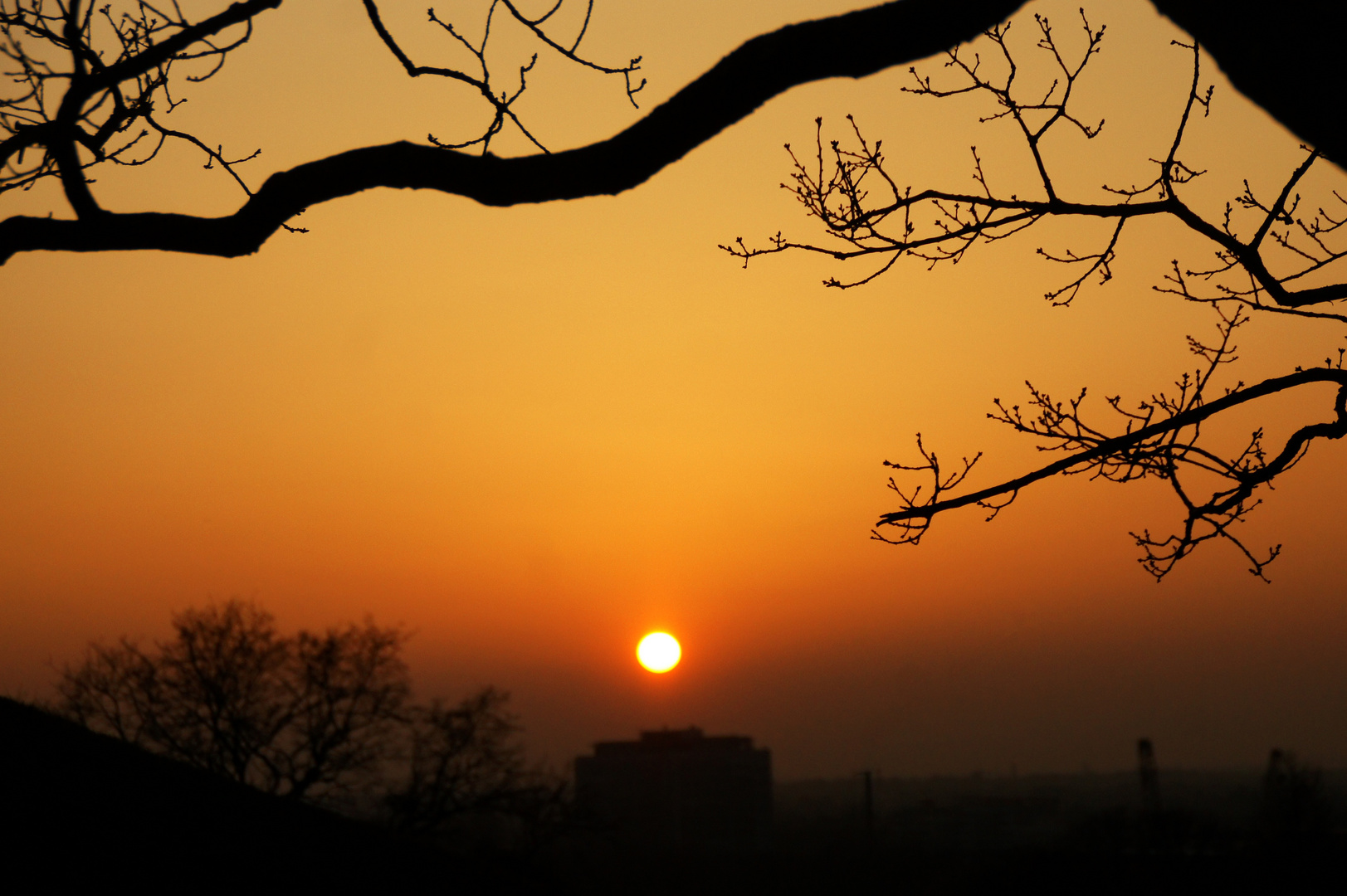 Der Ball der Sonne im Untergang 