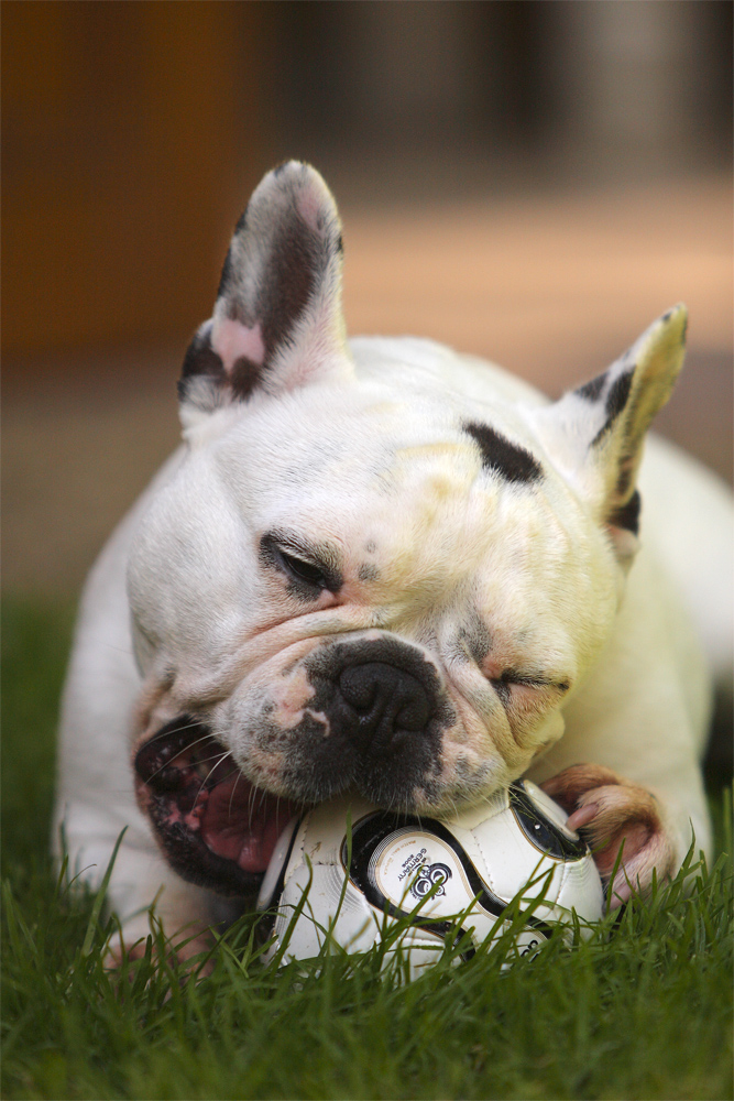 der Ball gehört mir