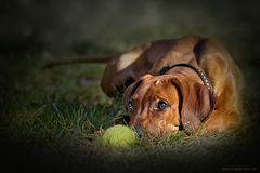 der Ball gehört mir.