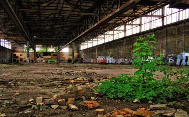 der ball kann beginnen