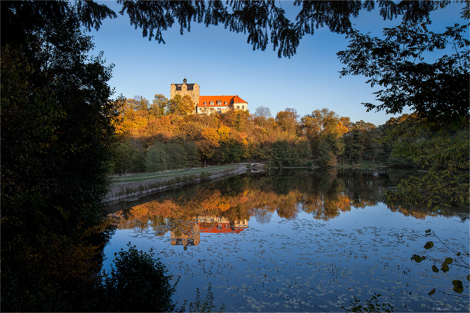 Der Ballenstedter Schlossteich