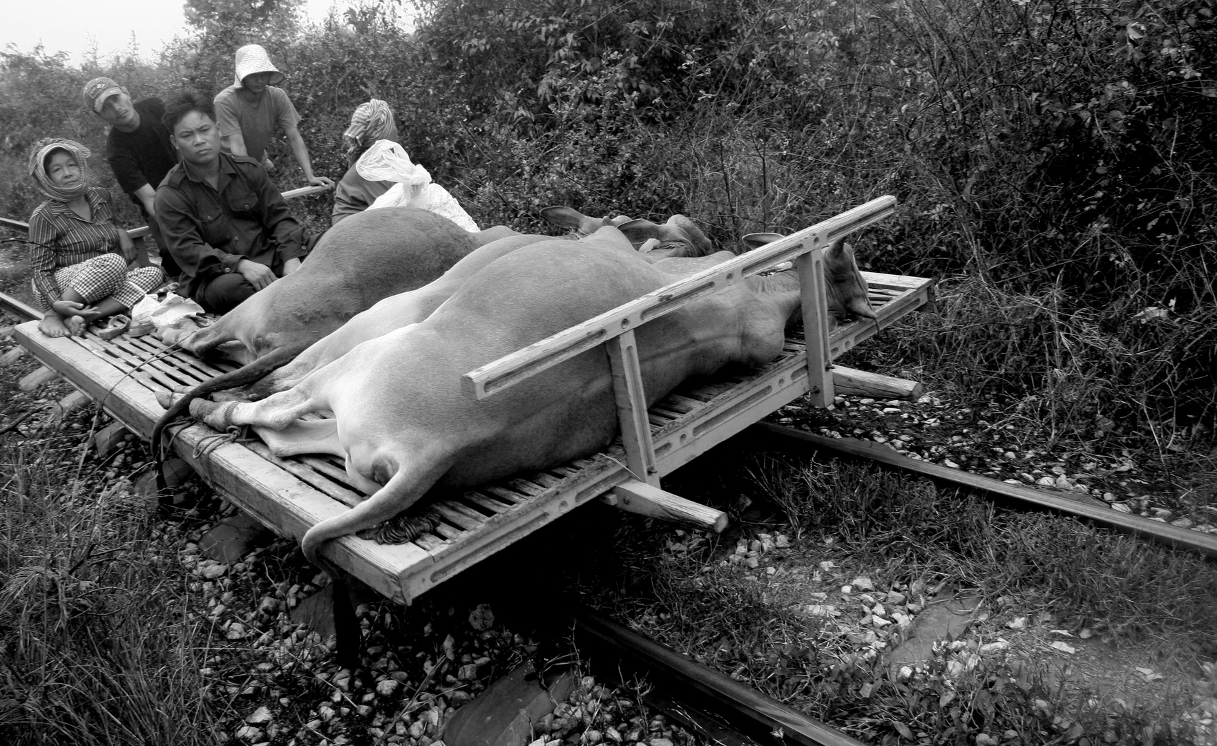 Der Bamboo Train in Battambang