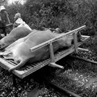 Der Bamboo Train in Battambang