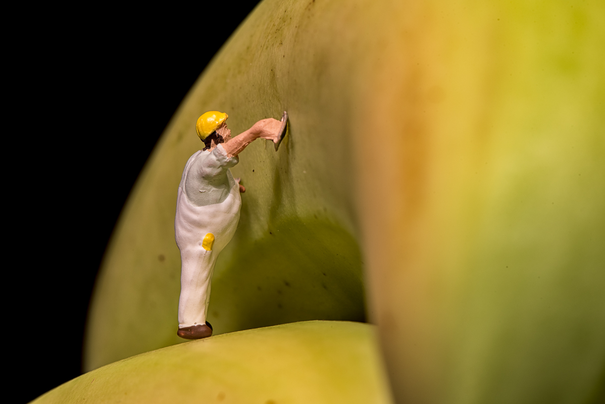 Der Bananenpolier