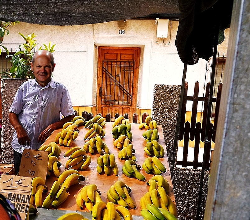 Der Bananenrepublikaner