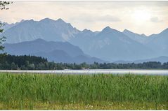 der bannwaldsee