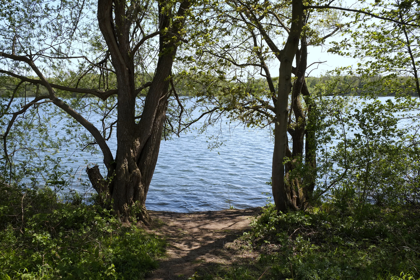 der Barmer See