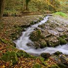 Der Bart des Wassers