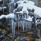 Der Bart von Väterchen Frost