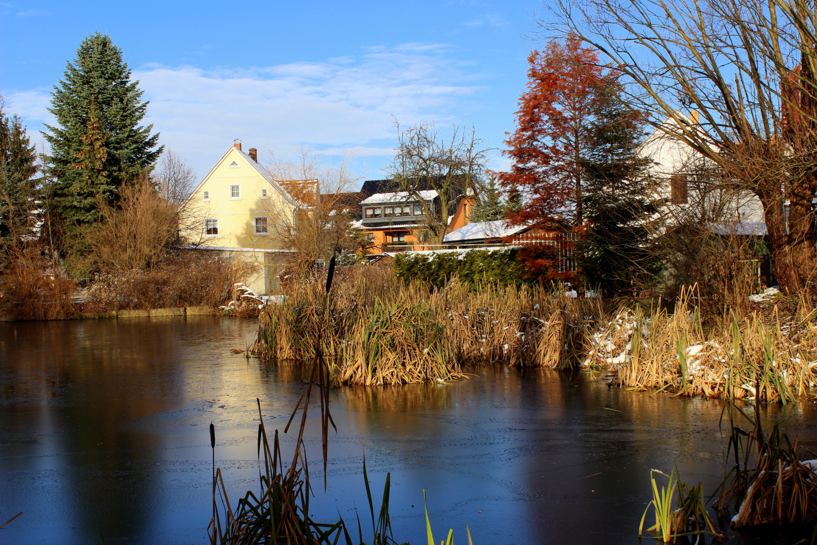 Der Baruther Dorfteich an einem sonnigen Wintertag