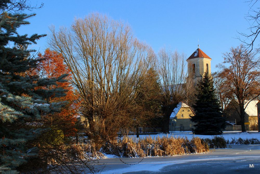 Der Baruther Dorfteich im Winterkleid