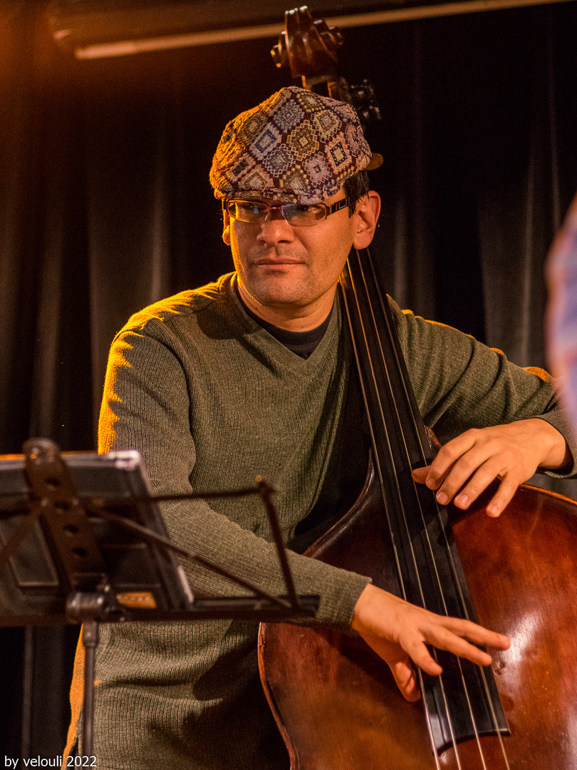 Der Bassist vom Niko Seibold Trio 2015 im Paterre in Basel 