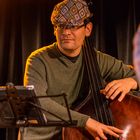 Der Bassist vom Niko Seibold Trio 2015 im Paterre in Basel 