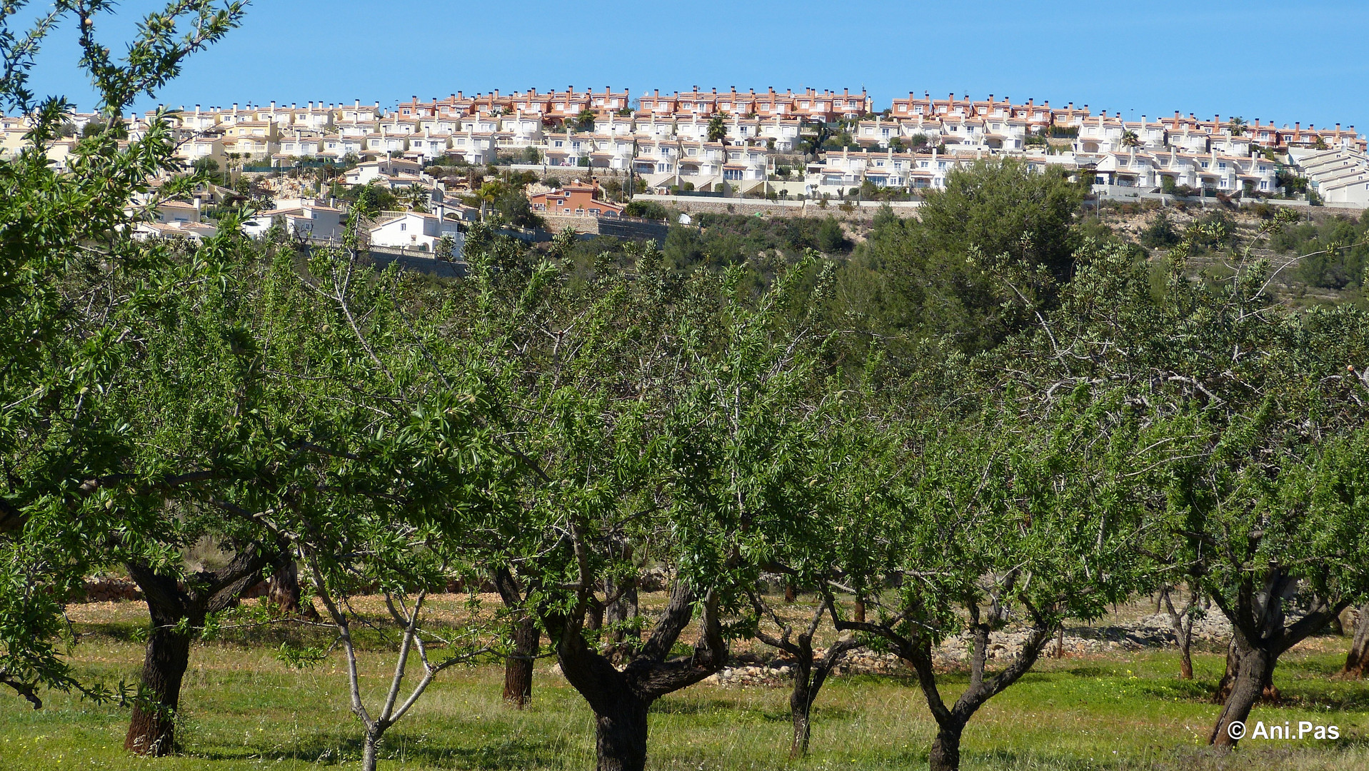 Der Bauboom in Spanien und seine Auswüchse II