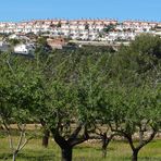 Der Bauboom in Spanien und seine Auswüchse II